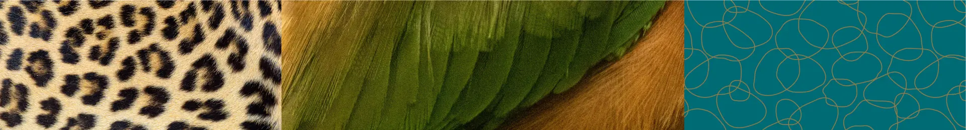 SVC 10912 Member Portal 1920 X 260Px (V1)2